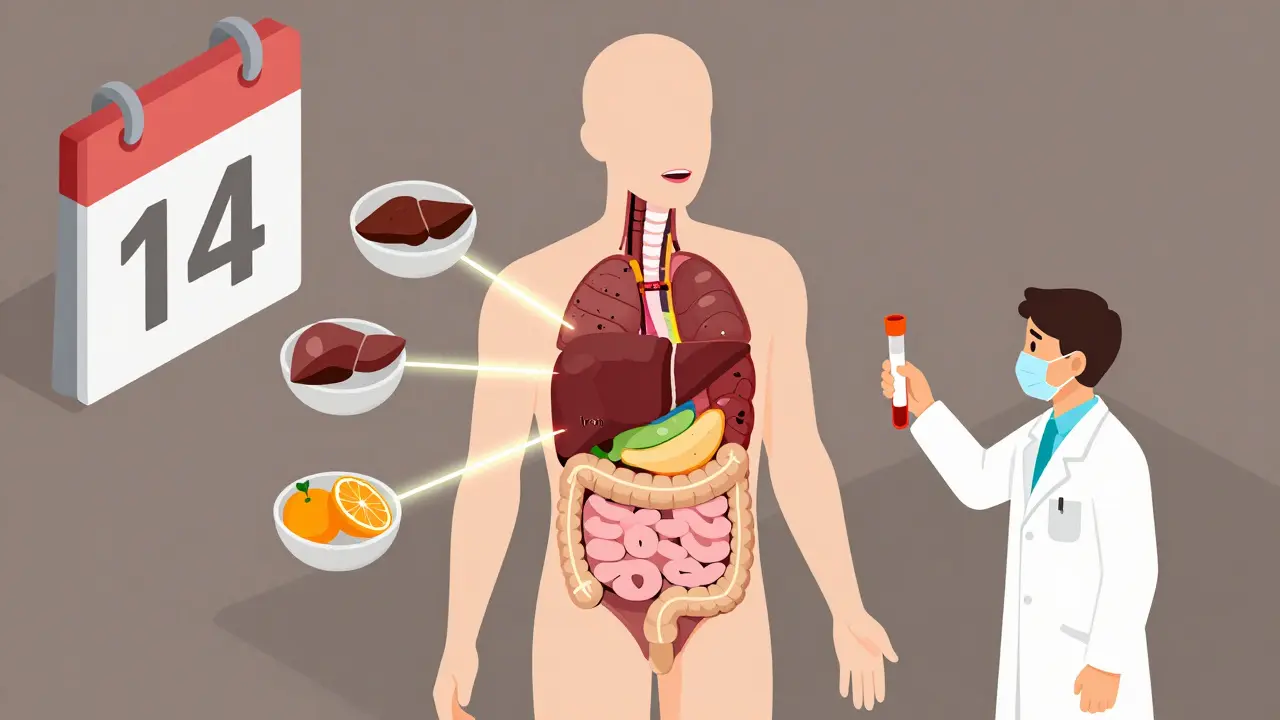 Изометрическая схема тела с питательными путями от еды к губам, врач держит анализ крови, подчеркивая связь питания и хейлита.